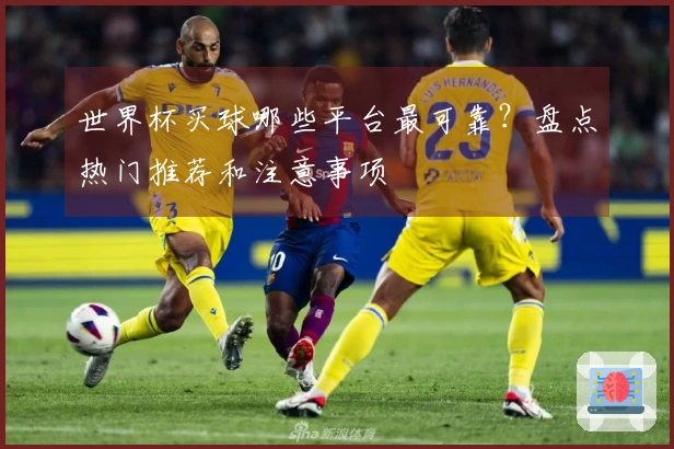 世界杯买球哪些平台最可靠？盘点热门推荐和注意事项