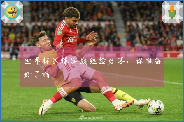 世界杯买球实战经验分享，你准备好了吗