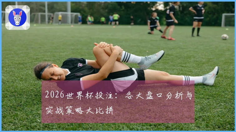 2026世界杯投注：各大盘口分析与实战策略大比拼