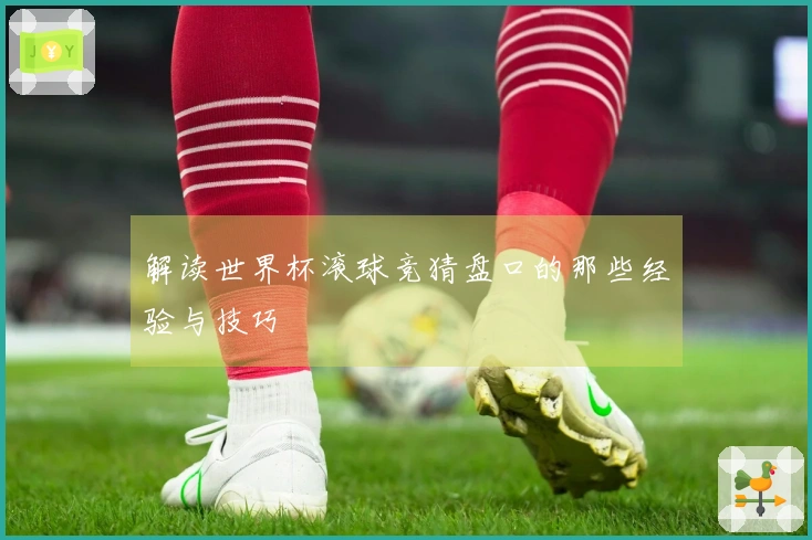 解读世界杯滚球竞猜盘口的那些经验与技巧