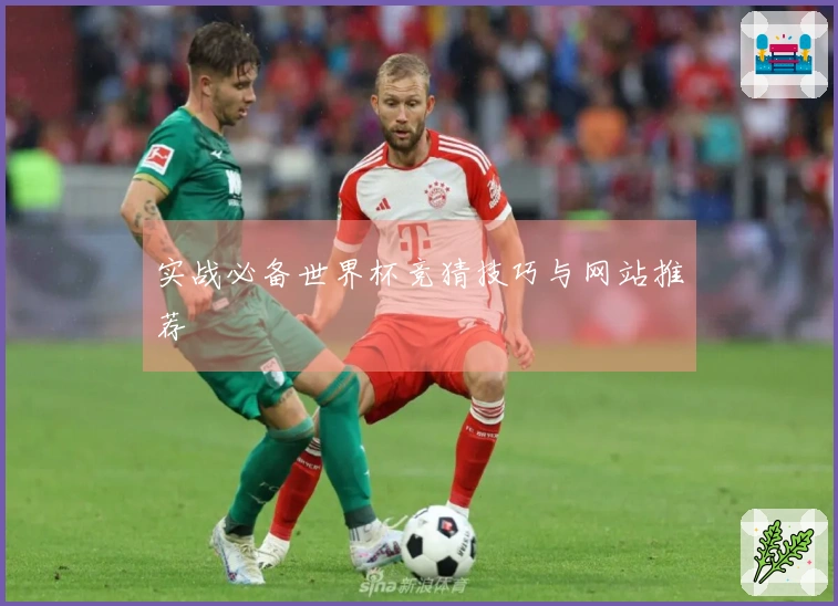 实战必备世界杯竞猜技巧与网站推荐