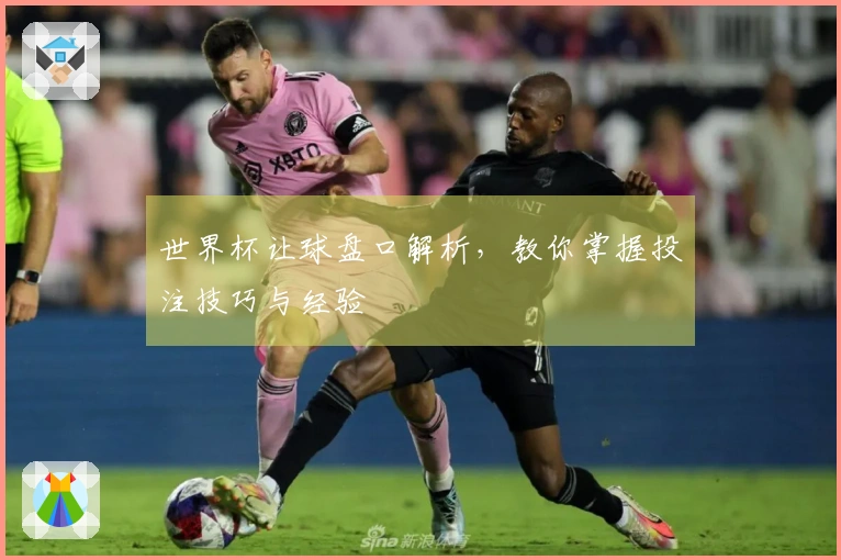 世界杯让球盘口解析，教你掌握投注技巧与经验
