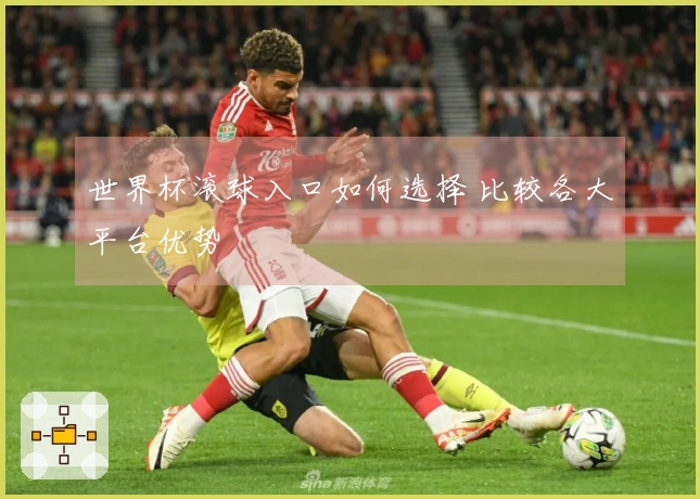 世界杯滚球入口如何选择 比较各大平台优势