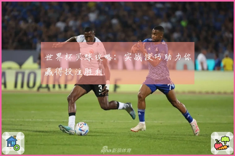 世界杯买球攻略：实战技巧助力你赢得投注胜利
