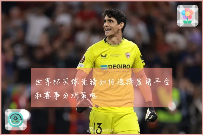 世界杯买球竞猜如何选择靠谱平台和赛事分析策略