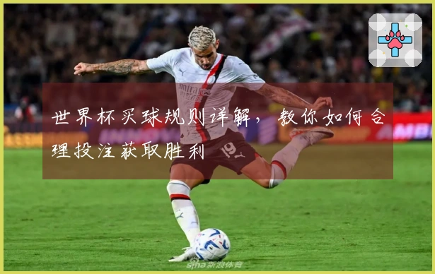 世界杯买球规则详解，教你如何合理投注获取胜利
