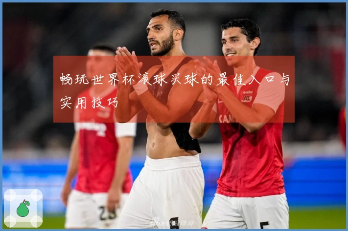 畅玩世界杯滚球买球的最佳入口与实用技巧