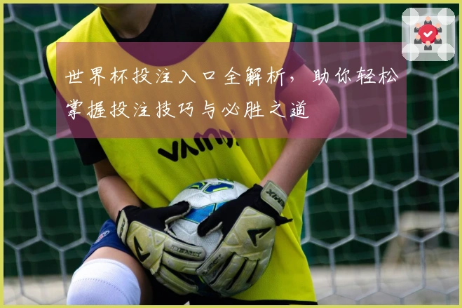 世界杯投注入口全解析，助你轻松掌握投注技巧与必胜之道