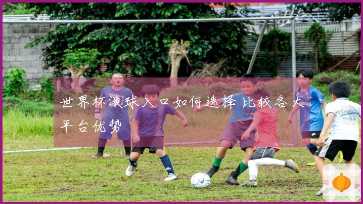 世界杯滚球入口如何选择 比较各大平台优势