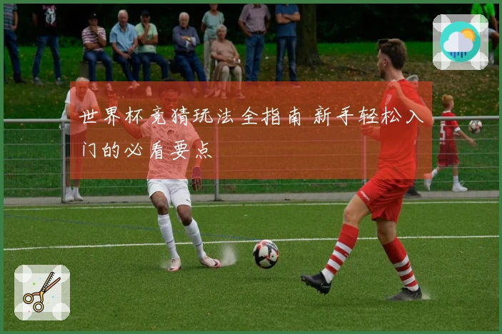 世界杯竞猜玩法全指南 新手轻松入门的必看要点