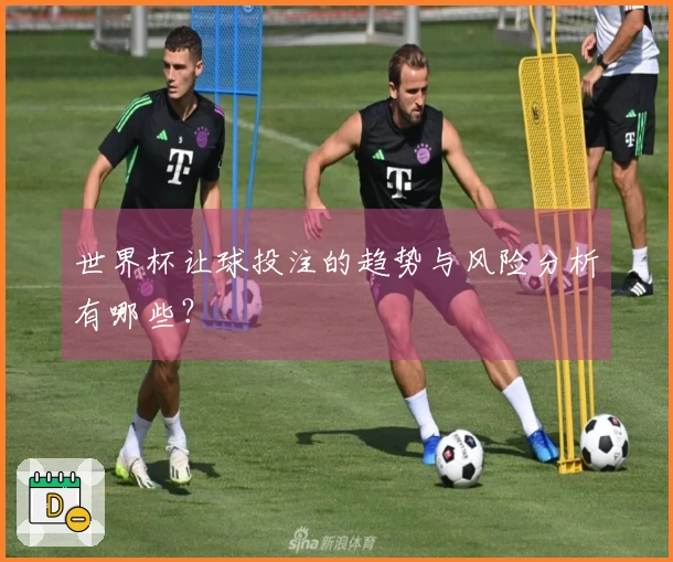 世界杯让球投注的趋势与风险分析有哪些？