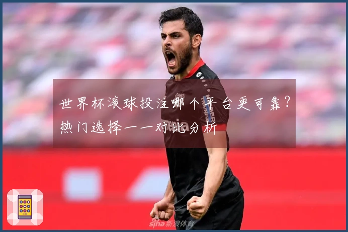 世界杯滚球投注哪个平台更可靠？热门选择一一对比分析
