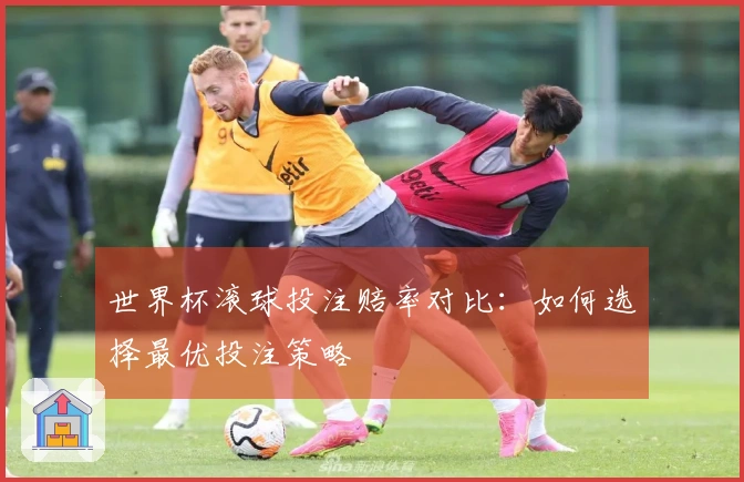 世界杯滚球投注赔率对比：如何选择最优投注策略