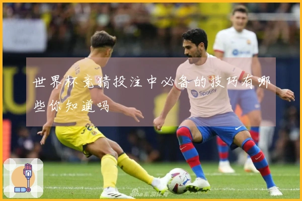 世界杯竞猜投注中必备的技巧有哪些你知道吗